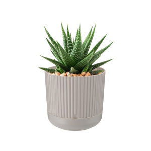 Doniczka plastikowa z podstawką 16cm Nostalgia beż